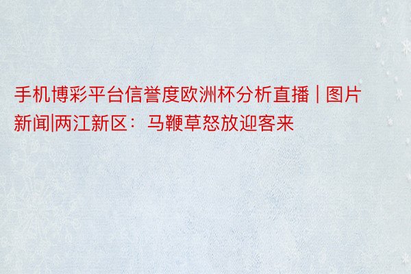 手机博彩平台信誉度欧洲杯分析直播 | 图片新闻|两江新区：马鞭草怒放迎客来