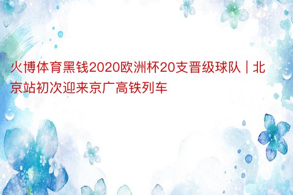 火博体育黑钱2020欧洲杯20支晋级球队 | 北京站初次迎来京广高铁列车